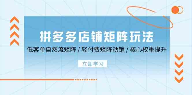 拼多多店铺矩阵玩法:低客单自然流矩阵 / 轻付费矩阵 动销 / 核心权重提升-网站游戏源码-黑科技工具分享-www.0592tk.cn-厦门腾空互联