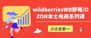wildberriesWB野莓/OZON本土电商系列课，掌握WB产品优化，出单技巧和订单处理等-网站游戏源码-黑科技工具分享-www.0592tk.cn-厦门腾空互联