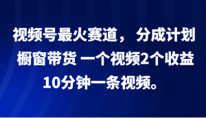 视频号最火赛道, 分成计划, 橱窗带货,一个视频2个收益,10分钟一条视频。-网站游戏源码-黑科技工具分享-www.0592tk.cn-厦门腾空互联