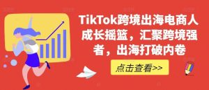 TikTok跨境出海电商人成长摇篮,汇聚跨境强者,出海打破内卷-网站游戏源码-黑科技工具分享-www.0592tk.cn-厦门腾空互联