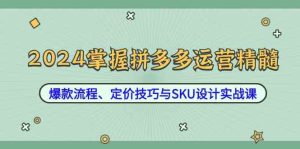 2024掌握拼多多运营精髓:爆款流程、定价技巧与SKU设计实战课-网站游戏源码-黑科技工具分享-www.0592tk.cn-厦门腾空互联