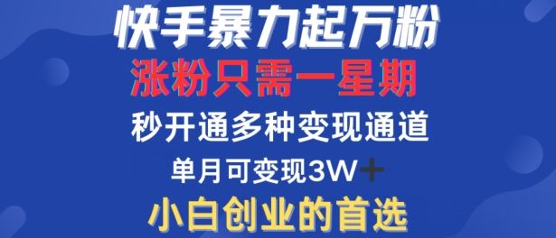 快手暴力起万粉，涨粉只需一星期，多种变现模式，直接秒开万合，单月变现过W【揭秘】-网站游戏源码-黑科技工具分享-www.0592tk.cn-厦门腾空互联