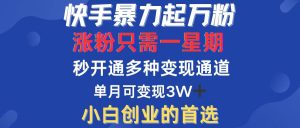 （12651期）快手暴力起万粉，涨粉只需一星期，多种变现模式，直接秒开万合，小白创…-网站游戏源码-黑科技工具分享-www.0592tk.cn-厦门腾空互联
