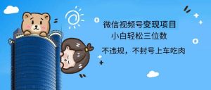 （12660期）2024最新微信视频号，0撸项目，自己玩，小白轻松日入三位数-网站游戏源码-黑科技工具分享-www.0592tk.cn-厦门腾空互联