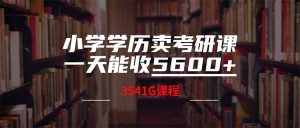 (12556期)小学学历卖考研课程,一天收5600(附3580G考研合集)-网站游戏源码-黑科技工具分享-www.0592tk.cn-厦门腾空互联