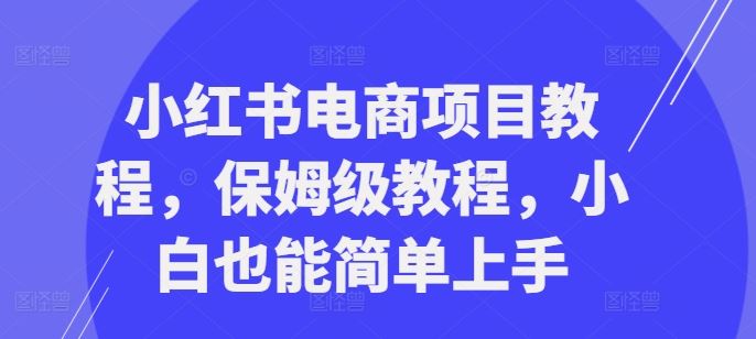 小红书电商项目教程，保姆级教程，小白也能简单上手-网站游戏源码-黑科技工具分享-www.0592tk.cn-厦门腾空互联