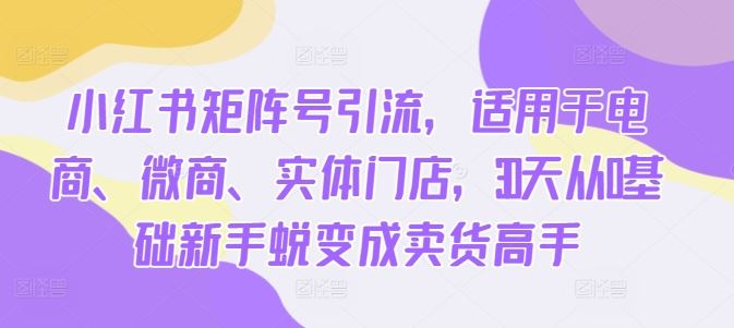 小红书矩阵号引流，适用于电商、微商、实体门店，30天从0基础新手蜕变成卖货高手-网站游戏源码-黑科技工具分享-www.0592tk.cn-厦门腾空互联
