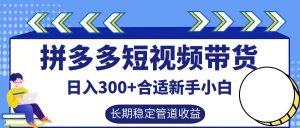 拼多多短视频带货日入300+，实操账户展示看就能学会-网站游戏源码-黑科技工具分享-www.0592tk.cn-厦门腾空互联