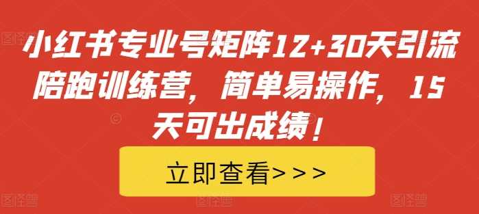 小红书专业号矩阵12+30天引流陪跑训练营，简单易操作，15天可出成绩!-网站游戏源码-黑科技工具分享-www.0592tk.cn-厦门腾空互联