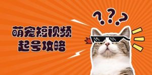 （13135期）萌宠-短视频起号攻略：定位搭建推流全解析，助力新手轻松打造爆款-网站游戏源码-黑科技工具分享-www.0592tk.cn-厦门腾空互联