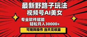 (12798期)最新野路子玩法,视频号AI美女,当天见收益,轻松月入30000+-网站游戏源码-黑科技工具分享-www.0592tk.cn-厦门腾空互联