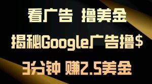 （13114期）看广告，撸美金！3分钟赚2.5美金！日入200美金不是梦！揭秘Google广告…-网站游戏源码-黑科技工具分享-www.0592tk.cn-厦门腾空互联