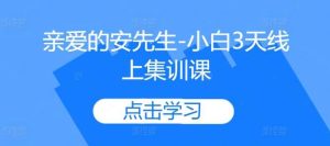 亲爱的安先生-小白3天线上集训课-网站游戏源码-黑科技工具分享-www.0592tk.cn-厦门腾空互联