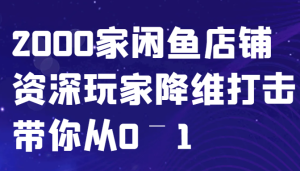 闲鱼已经饱和？纯扯淡！2000家闲鱼店铺资深玩家降维打击带你从0–1-网站游戏源码-黑科技工具分享-www.0592tk.cn-厦门腾空互联