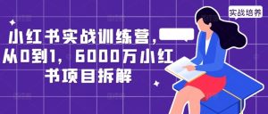 小红书实战训练营,从0到1,6000万小红书项目拆解-网站游戏源码-黑科技工具分享-www.0592tk.cn-厦门腾空互联