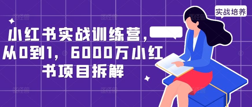 小红书实战训练营，从0到1，6000万小红书项目拆解-网站游戏源码-黑科技工具分享-www.0592tk.cn-厦门腾空互联