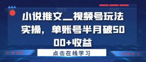 小说推文—视频号玩法实操,单账号半月破5000+收益-网站游戏源码-黑科技工具分享-www.0592tk.cn-厦门腾空互联