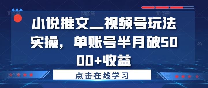 小说推文—视频号玩法实操，单账号半月破5000+收益-网站游戏源码-黑科技工具分享-www.0592tk.cn-厦门腾空互联