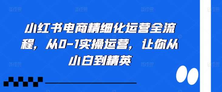 小红书电商精细化运营全流程，从0-1实操运营，让你从小白到精英-网站游戏源码-黑科技工具分享-www.0592tk.cn-厦门腾空互联