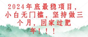 (12970期)2024年底最稳项目,小白无门槛,坚持做三个月,回家过肥年!!!-网站游戏源码-黑科技工具分享-www.0592tk.cn-厦门腾空互联