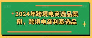 2024年跨境电商选品案例，跨境电商利基选品（更新11月）-网站游戏源码-黑科技工具分享-www.0592tk.cn-厦门腾空互联