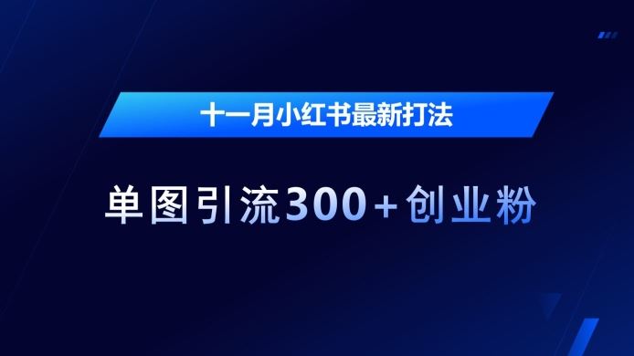 十一月小红书最新打法，单图引流300+创业粉【揭秘】-网站游戏源码-黑科技工具分享-www.0592tk.cn-厦门腾空互联
