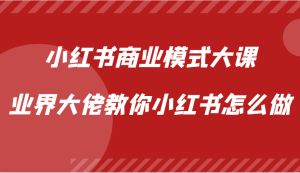 小红书商业模式大课，业界大佬教你小红书怎么做【视频课】-网站游戏源码-黑科技工具分享-www.0592tk.cn-厦门腾空互联
