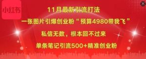 小红书11月最新图片打粉，一张图片引爆创业粉，“预算4980带我飞”，单条引流500+精准创业粉-网站游戏源码-黑科技工具分享-www.0592tk.cn-厦门腾空互联