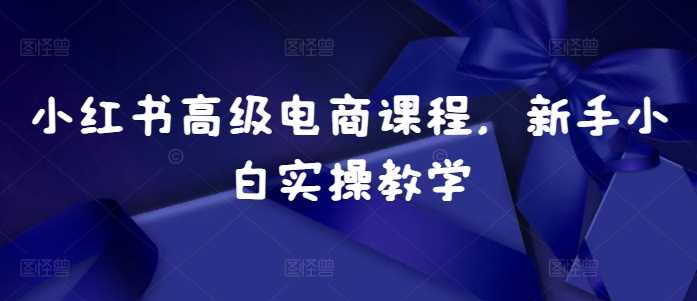 小红书高级电商课程，新手小白实操教学-网站游戏源码-黑科技工具分享-www.0592tk.cn-厦门腾空互联