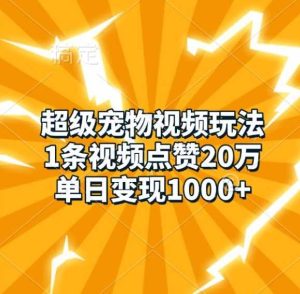 超级宠物视频玩法,1条视频点赞20万,单日变现1k-网站游戏源码-黑科技工具分享-www.0592tk.cn-厦门腾空互联