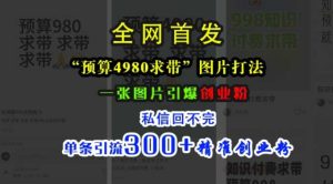 小红书“预算4980带我飞”图片打法，一张图片引爆创业粉，私信回不完，单条引流300+精准创业粉-网站游戏源码-黑科技工具分享-www.0592tk.cn-厦门腾空互联