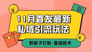 11月首发最新私域引流玩法，自动克隆爆款一键改写截流自热一体化 日引300+精准粉-网站游戏源码-黑科技工具分享-www.0592tk.cn-厦门腾空互联