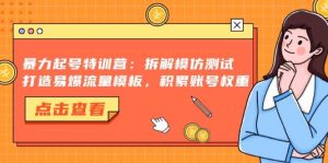 （13184期）暴力起号特训营：拆解模仿测试，打造易爆流量模板，积累账号权重-网站游戏源码-黑科技工具分享-www.0592tk.cn-厦门腾空互联