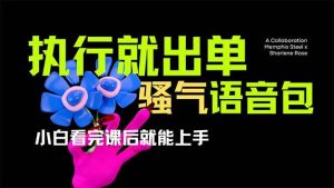 （14170期）爆火全网的开车导航骚气语音包,只要执行就出单，小白看完课程就能实操…-网站游戏源码-黑科技工具分享-www.0592tk.cn-厦门腾空互联
