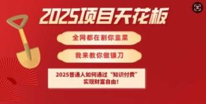 2025项目天花板普通人如何通过知识付费，实现财F自由【揭秘】-网站游戏源码-黑科技工具分享-www.0592tk.cn-厦门腾空互联
