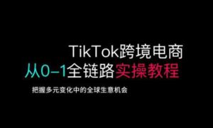 TikTok跨境电商从0-1全链路全方位实操教程，把握多元变化中的全球生意机会-网站游戏源码-黑科技工具分享-www.0592tk.cn-厦门腾空互联