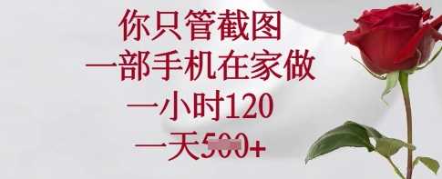 你只管截图，一部手机在家做，一小时120.一天5张【揭秘】-网站游戏源码-黑科技工具分享-www.0592tk.cn-厦门腾空互联