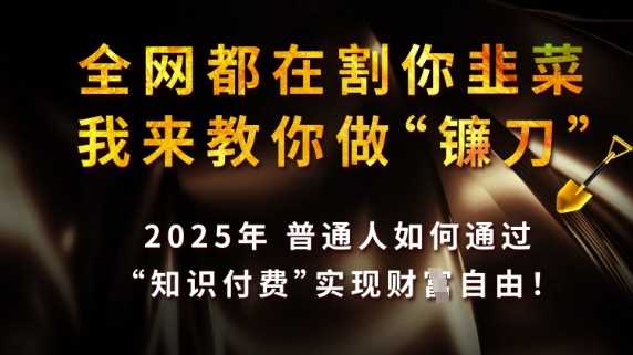全网都在割你韭菜，我来教你做镰刀，2025普通人如何通过知识付费，实现财F自由【揭秘】-网站游戏源码-黑科技工具分享-www.0592tk.cn-厦门腾空互联