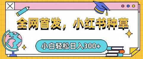 小红书种草，手机项目，日入3张，复制黏贴即可，可矩阵操作，动手不动脑【揭秘】-网站游戏源码-黑科技工具分享-www.0592tk.cn-厦门腾空互联