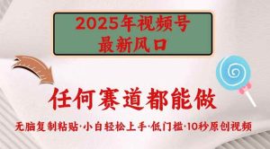(14453期)2025年视频号新风口,低门槛只需要无脑执行-网站游戏源码-黑科技工具分享-www.0592tk.cn-厦门腾空互联