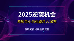 (14122期)项目标题:2025逆袭机会,卖项目小白也能轻松月入10万+-网站游戏源码-黑科技工具分享-www.0592tk.cn-厦门腾空互联