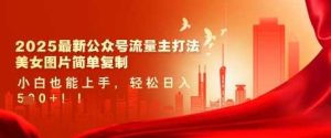 2025最新公众号流量主打法，美女图片简单复制，小白也能上手，轻松日入5张-网站游戏源码-黑科技工具分享-www.0592tk.cn-厦门腾空互联