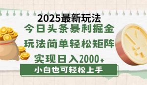 (14120期)今日头条2025最新玩法,思路简单,复制粘贴,轻松实现矩阵日入2000+-网站游戏源码-黑科技工具分享-www.0592tk.cn-厦门腾空互联