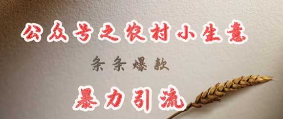 deepseek写农村小项目，条条爆款，暴力引流-网站游戏源码-黑科技工具分享-www.0592tk.cn-厦门腾空互联