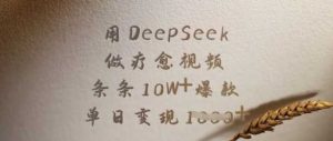 用DeepSeek做疗愈视频,条条10W+爆款,单日变现多张-网站游戏源码-黑科技工具分享-www.0592tk.cn-厦门腾空互联