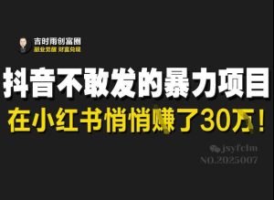抖音不敢发的暴利项目，在小红书悄悄挣了30W-网站游戏源码-黑科技工具分享-www.0592tk.cn-厦门腾空互联
