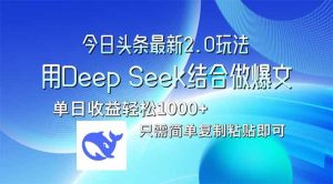 (14117期)今日头条最新2.0版本,用Deep Seek结合今日头条做爆文,单日收益轻松10…-网站游戏源码-黑科技工具分享-www.0592tk.cn-厦门腾空互联