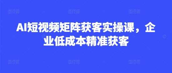 AI短视频矩阵获客实操课，企业低成本精准获客-网站游戏源码-黑科技工具分享-www.0592tk.cn-厦门腾空互联