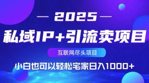 （14151期）私域IP+引流卖项目，小白也可以做到轻松宅家日入1000+-网站游戏源码-黑科技工具分享-www.0592tk.cn-厦门腾空互联