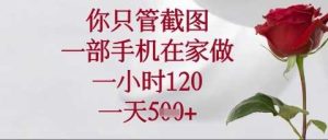 你只管截图，一部手机在家操作，一小时120.一天5张【揭秘】-网站游戏源码-黑科技工具分享-www.0592tk.cn-厦门腾空互联